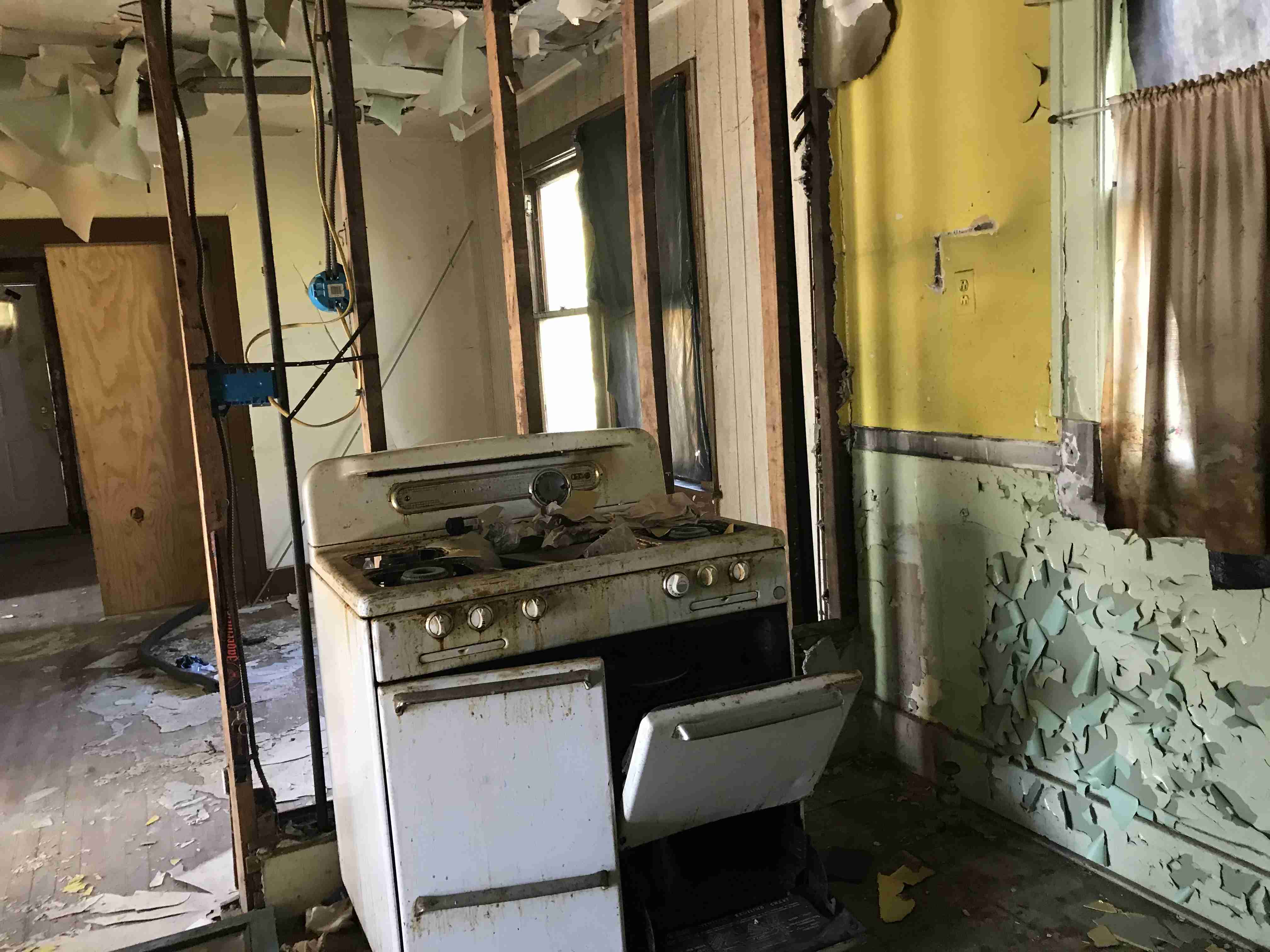 Photo Oct 13, 12 35 24 PM.jpg